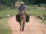 Day02 - 07 * Refugio Ecologico Caiman - Ranch hand